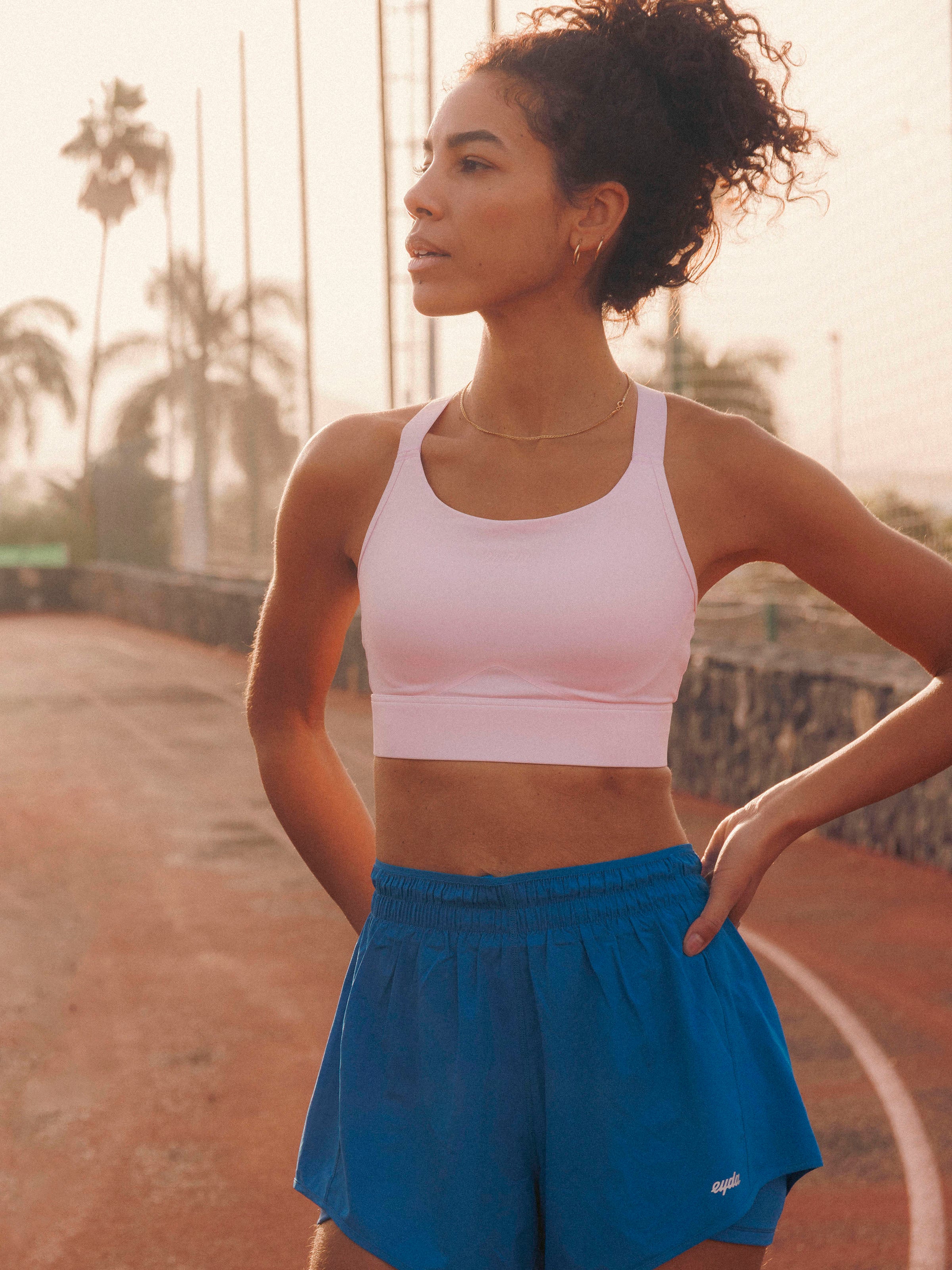 Nina High Support Sports Bra